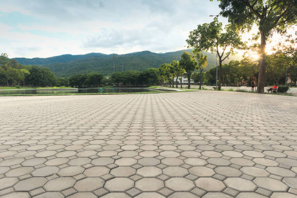 Best Driveway Paving Near Me  in Mccom, MS